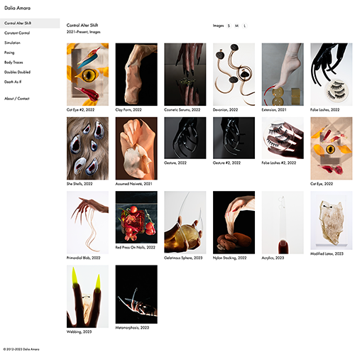 Dalia Amara artist website