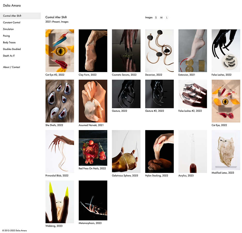Dalia Amara updated site
