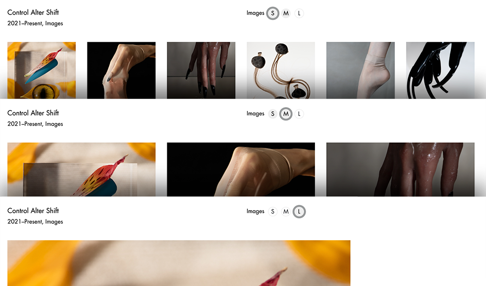 Dalia Amara toggle view buttons
